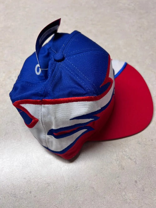 Richard Petty Officially Licensed 43 STP RWB NASCAR Flame Hat
