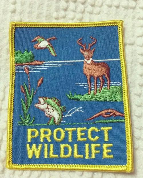 Protect Wildlife Vintage Nature Conservation Patch Camping/Nature MintGorgeous patch retro as it is relevant and perfect for any nature lover, conservationist. Protect Wildlife
item measures appropriately 3 x 4 inches patchPG Relics