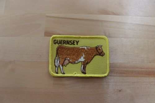 This GUERNSEY cow Cattle patch measures 3 1/2 x 2 1/2 inches and is in great vintage condition. Perfect for the cow/cattle lover out there. Only on PG RELICS.