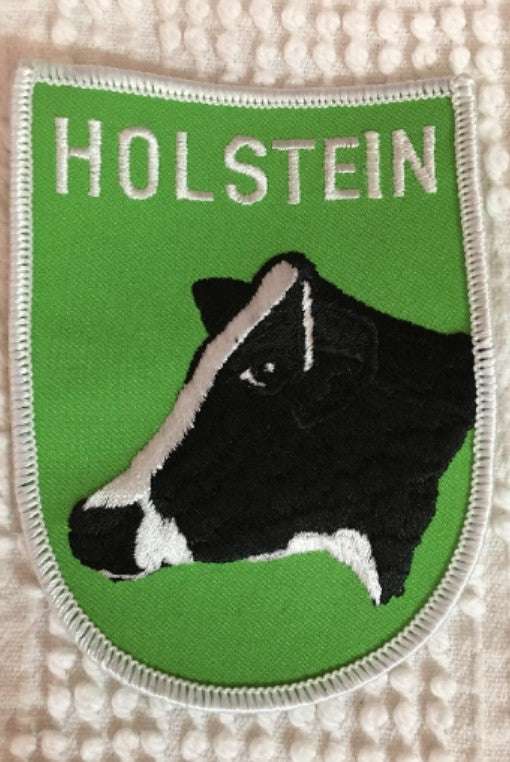 HOLSTEIN Cattle PATCH