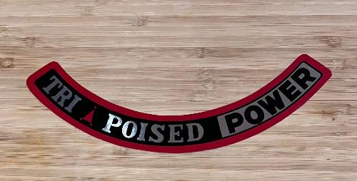 American Motors 1965-66 199 TRI Poised Power Air Cleaner Black Decal