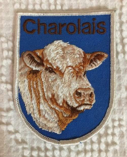 CHAROLAIS Cattle PATCH
