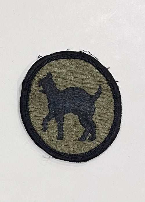 Military Army Patch 81st Infantry Green Black Cat Unique Insignia