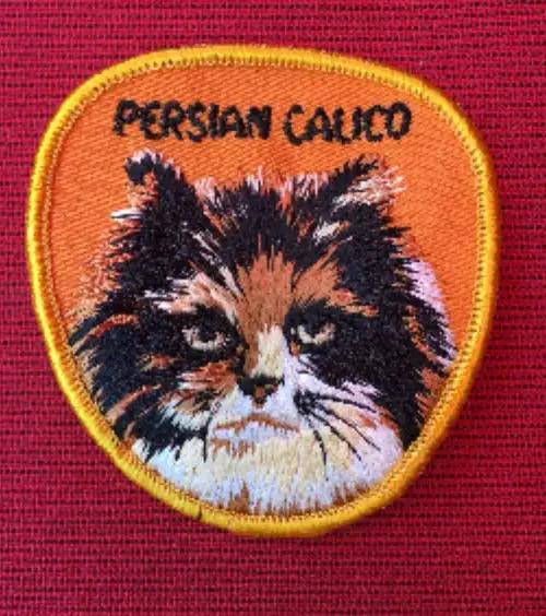 Persian Calico Cat Patch Animals VINTAGE RARE Collectors Item. This is a vintage Persian Calico feline patch.  Measures approximately 3 x 3 inches. Very detailed NOS