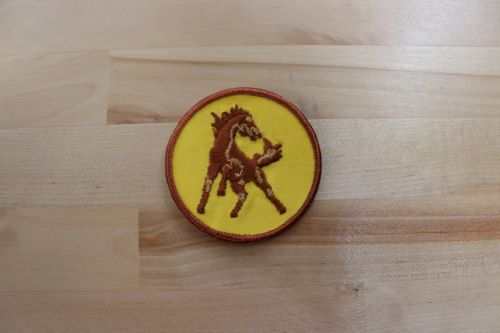 WILD HORSE Patch Animals Horse Detailed Mint Exc This is a detailed wild horse patch.  Item measures approx 3 in circle and is in great vintage condition. Vintage