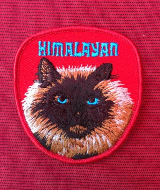 HIMALAYAN CAT PATCH