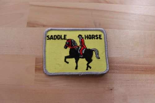 SADDLE HORSE PATCH Animals Mint Sport Riding. Item measures 3.5 x 2.5 inches and is in great vintage condition.  Perfect for Horse lover and make your own garment