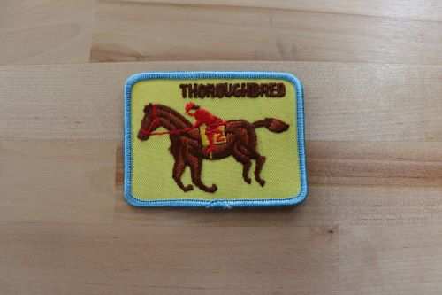 THOROUGHBRED Horse Racing PATCH Mint Exc Sport Item measures 3 1/2 x 2 1/2 inches and is in great vintage condition.  Perfect for horse lovers and make your own..